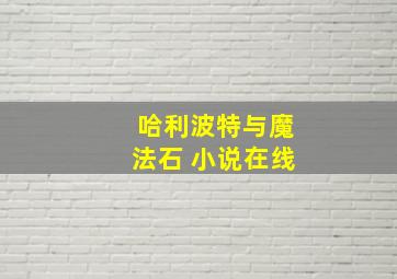 哈利波特与魔法石 小说在线